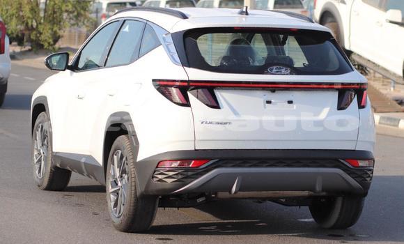 Buy New Hyundai Tucson White Car in Import - Dubai in Dushanbe Buy New Hyundai Tucson White Car in Import - Dubai in Dushanbe