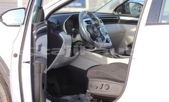 Buy New Hyundai Tucson White Car in Import - Dubai in Dushanbe Buy New Hyundai Tucson White Car in Import - Dubai in Dushanbe