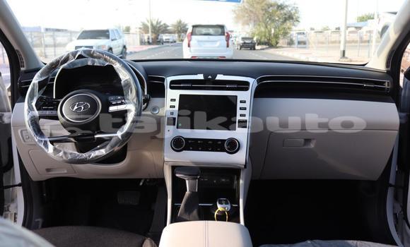 Buy New Hyundai Tucson White Car in Import - Dubai in Dushanbe Buy New Hyundai Tucson White Car in Import - Dubai in Dushanbe