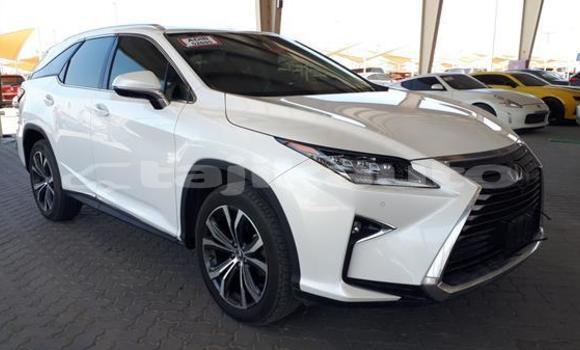 Buy Used Lexus RX 350 White Car in Chorku in Sughd Buy Used Lexus RX 350 White Car in Chorku in Sughd