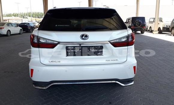 Buy Used Lexus RX 350 White Car in Chorku in Sughd Buy Used Lexus RX 350 White Car in Chorku in Sughd