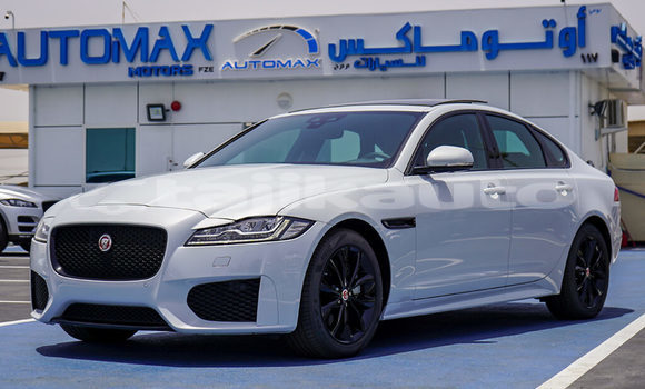 Buy New Jaguar XF White Car in Import - Dubai in Dushanbe