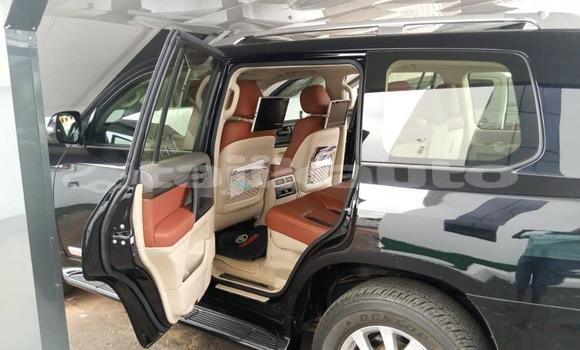 Buy Used Toyota Land Cruiser Black Car in Import - Dubai in Dushanbe