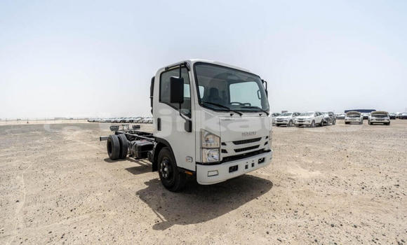 Buy New Isuzu NPR 85H White Truck in Import - Dubai in Dushanbe Buy New Isuzu NPR 85H White Truck in Import - Dubai in Dushanbe
