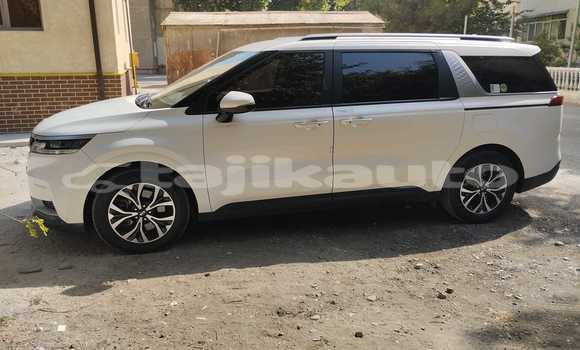 Buy Used Kia Sorento White Car in Dushanbe in Dushanbe