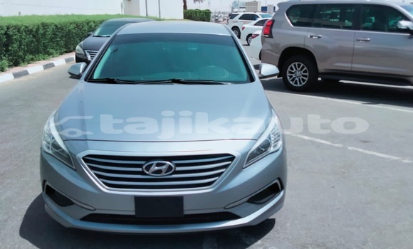 Buy Import Hyundai Sonata Silver Car in Import - Dubai in Dushanbe