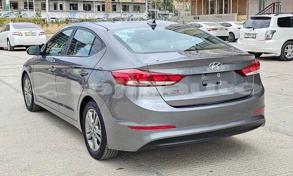 Buy Used Hyundai Elantra Other Car in Dushanbe in Dushanbe Buy Used Hyundai Elantra Other Car in Dushanbe in Dushanbe