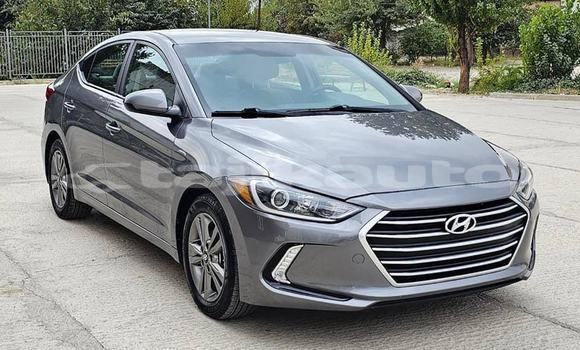 Buy Used Hyundai Elantra Other Car in Dushanbe in Dushanbe Buy Used Hyundai Elantra Other Car in Dushanbe in Dushanbe