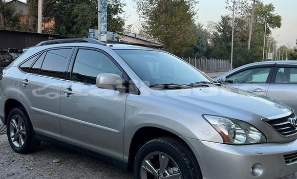 Buy Used Lexus RX Other Car in Dushanbe in Dushanbe