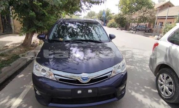 Buy Used Toyota FJ Cruiser Black Car in Dushanbe in Dushanbe Buy Used Toyota FJ Cruiser Black Car in Dushanbe in Dushanbe