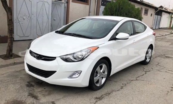 Buy Import Hyundai Elantra White Car in Dushanbe in Dushanbe