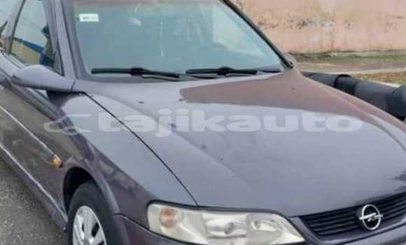Buy Used Opel Vectra Other Car in Chkalov in Sughd Buy Used Opel Vectra Other Car in Chkalov in Sughd