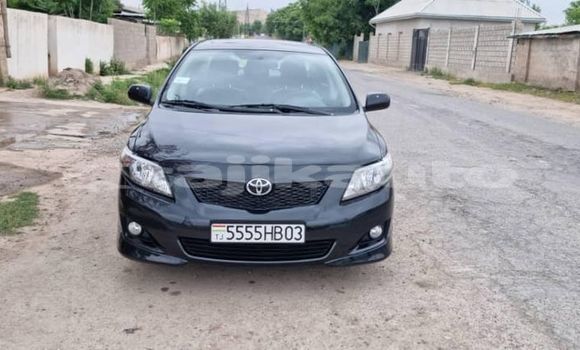 Buy Used Kia Carnival Black Car in Dangara in Khatlon