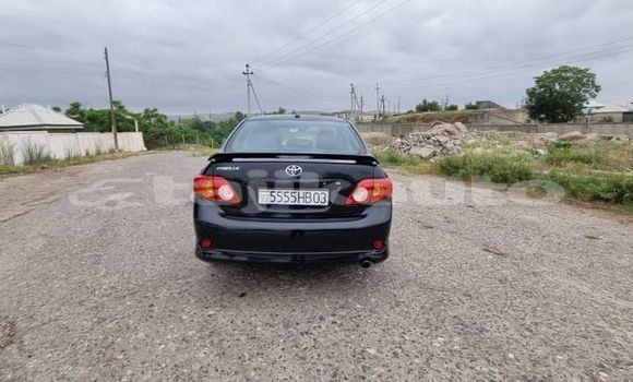 Buy Used Kia Carnival Black Car in Dangara in Khatlon Buy Used Kia Carnival Black Car in Dangara in Khatlon