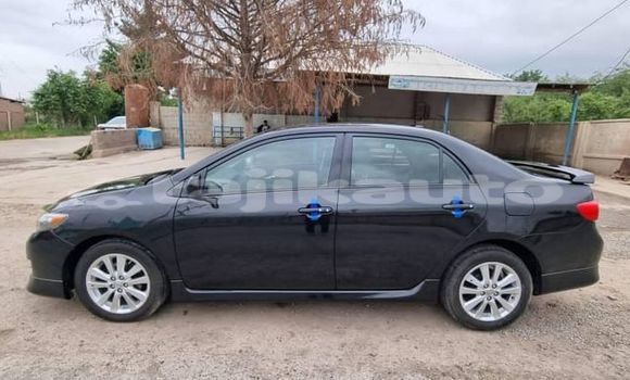 Buy Used Kia Carnival Black Car in Dangara in Khatlon Buy Used Kia Carnival Black Car in Dangara in Khatlon