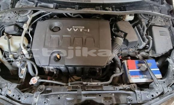 Buy Used Kia Carnival Black Car in Dangara in Khatlon Buy Used Kia Carnival Black Car in Dangara in Khatlon