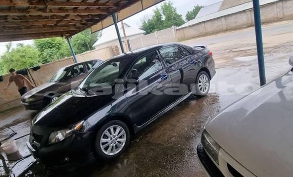 Buy Used Kia Carnival Black Car in Dangara in Khatlon Buy Used Kia Carnival Black Car in Dangara in Khatlon