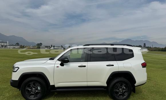 Buy Used Toyota Land Cruiser White Car in Dushanbe in Dushanbe Buy Used Toyota Land Cruiser White Car in Dushanbe in Dushanbe