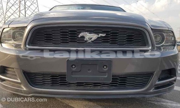 Buy Import Ford Mustang Other Car in Import - Dubai in Dushanbe Buy Import Ford Mustang Other Car in Import - Dubai in Dushanbe