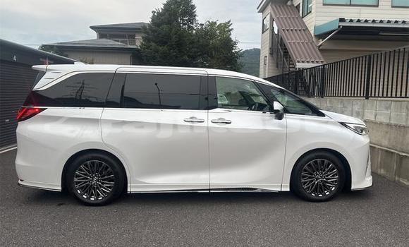 Buy Used Lexus LC White Car in Dushanbe in Dushanbe Buy Used Lexus LC White Car in Dushanbe in Dushanbe