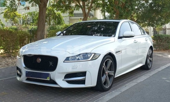 Buy Used Jaguar XF Green Car in Dushanbe in Dushanbe