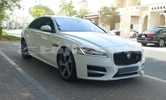 Buy Used Jaguar XF Green Car in Dushanbe in Dushanbe Buy Used Jaguar XF Green Car in Dushanbe in Dushanbe
