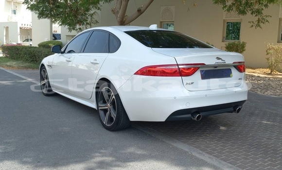 Buy Used Jaguar XF Green Car in Dushanbe in Dushanbe Buy Used Jaguar XF Green Car in Dushanbe in Dushanbe