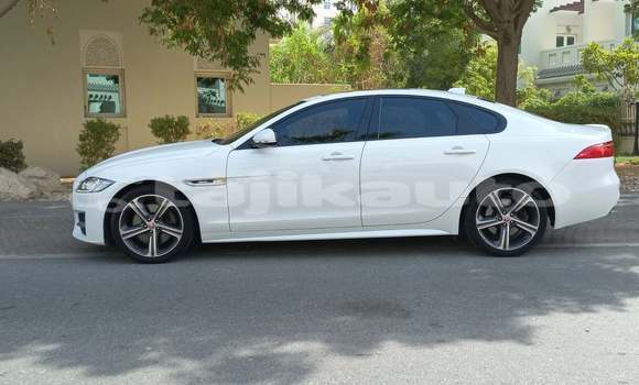 Buy Used Jaguar XF Green Car in Dushanbe in Dushanbe Buy Used Jaguar XF Green Car in Dushanbe in Dushanbe