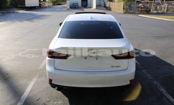 Buy Used Lexus IS Other Car in Dushanbe in Dushanbe Buy Used Lexus IS Other Car in Dushanbe in Dushanbe