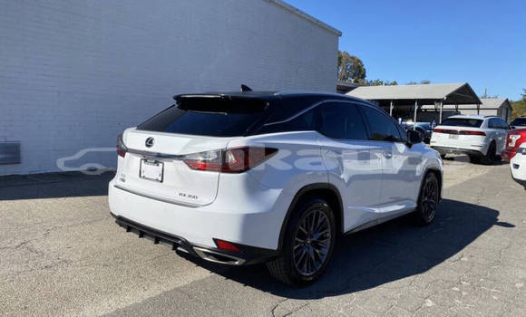 Buy Used Lexus RX 350 White Car in Dushanbe in Dushanbe Buy Used Lexus RX 350 White Car in Dushanbe in Dushanbe