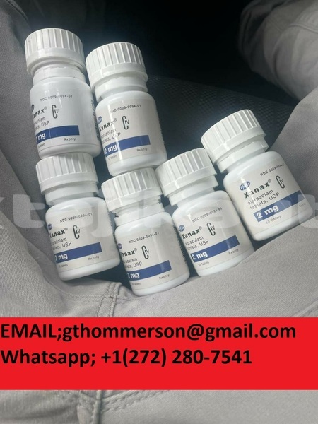 Big with watermark img 20231115 022341 299