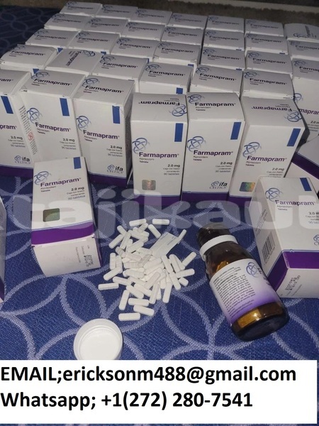 Big with watermark img 20231115 013605 682