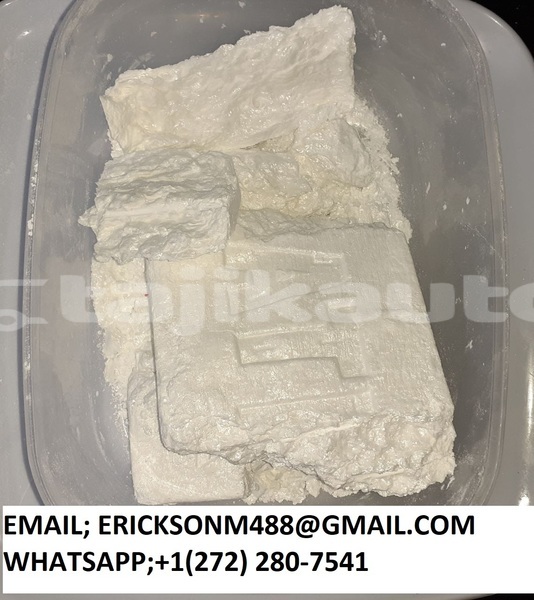 Big with watermark img 20231107 081812 740