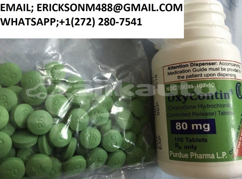 Big with watermark img 20231115 022505 662