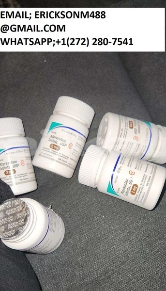 Big with watermark img 20231101 122657 740