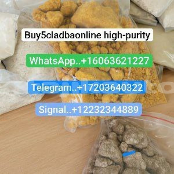 Big with watermark photo 2025 09 28 04 45 15