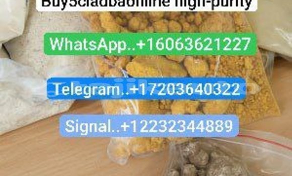 Medium with watermark photo 2025 09 28 04 45 15