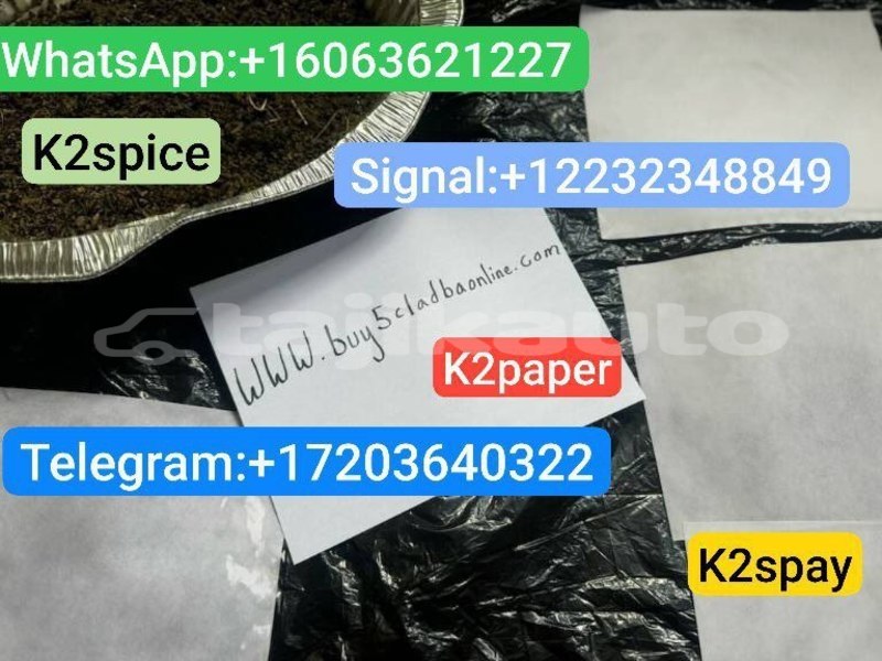 Big with watermark photo 2025 09 28 06 02 01