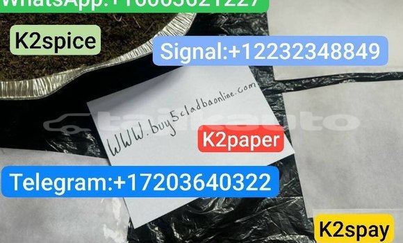 Medium with watermark photo 2025 09 28 06 02 01