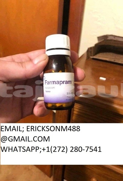 Big with watermark img 20231101 123556 312