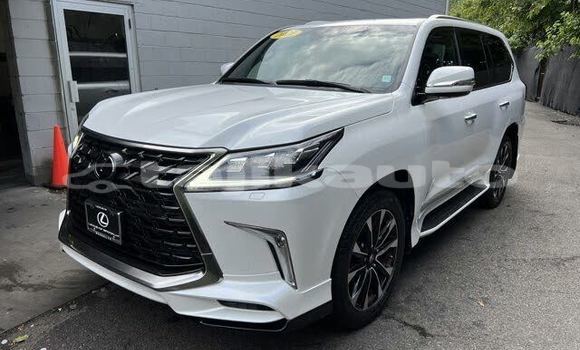 Buy Import Lexus LX 570 White Car in Chkalov in Sughd