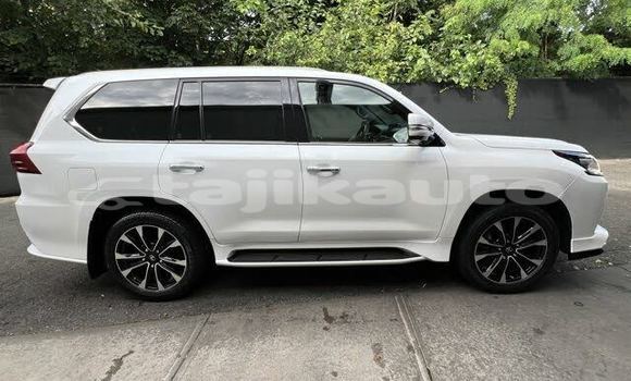 Buy Import Lexus LX 570 White Car in Chkalov in Sughd Buy Import Lexus LX 570 White Car in Chkalov in Sughd