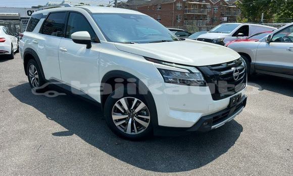 Buy Import Nissan Pathfinder White Car in Chorku in Sughd