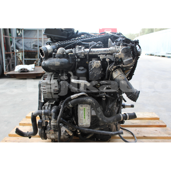 Big with watermark s l16003