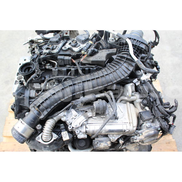 Big with watermark s l16000