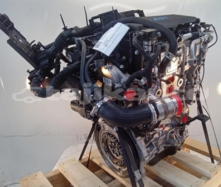 Big with watermark s l16001