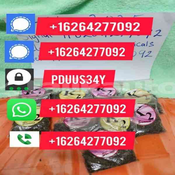 Big with watermark whatsapp image 2025 07 22 at 14.58.391