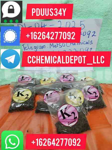 Big with watermark whatsapp image 2025 07 31 at 02.54.271