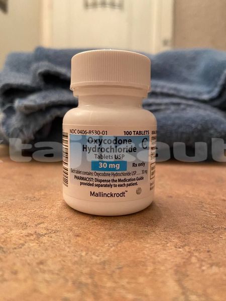 Big with watermark img 20251007 095405 797