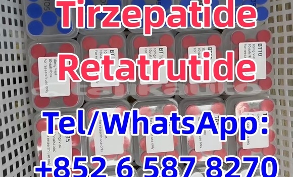 Buy Used Alfa Romeo 156 Brown Car in Buston in Sughd Buy Used Alfa Romeo 156 Brown Car in Buston in Sughd